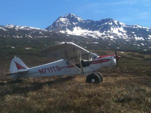 Wildlife Sightseeing in Alaska with Alaska Air Service. Small-group guided tours from Anchorage, unforgettable views and experiences.