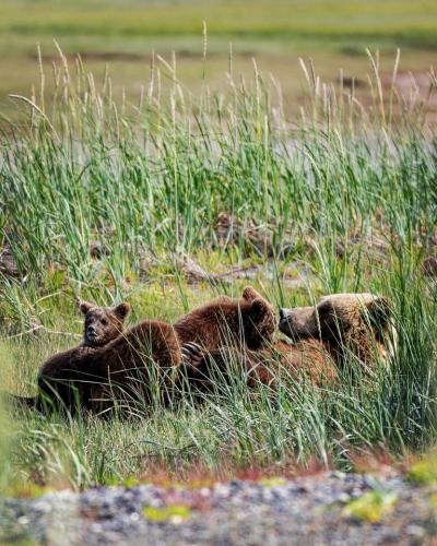 65712028 1014376628770156 1034750100842217472 n